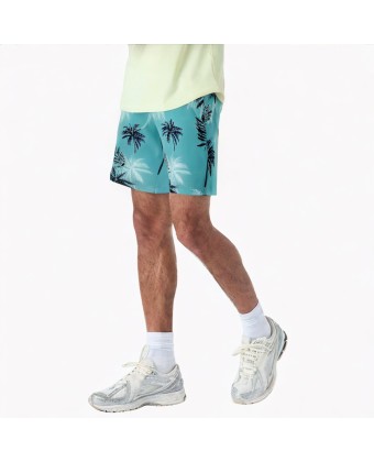 Thin Beach Vacation Shorts 